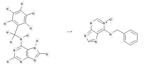 Benzyladenine can be used to produce by benzyl-(1-oxy-9H-purin-6-yl)-amine at the temperature of 30 °C